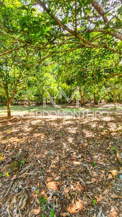 Chácara, 3 quartos, 2 hectares - Foto 4