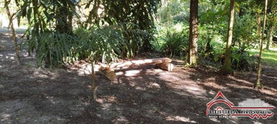 Chácara, 9 quartos, 6000 m² - Foto 4