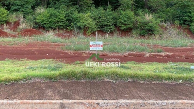 Terreno, 250 m² - Foto 3