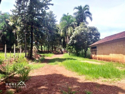 Fazenda-Sítio-Chácara, 169 hectares - Foto 2