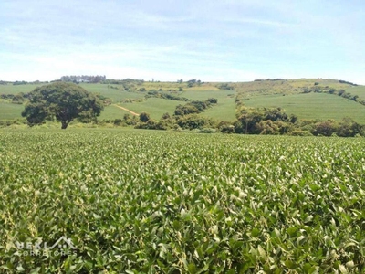 Fazenda-Sítio-Chácara, 169 hectares - Foto 4