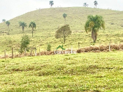 Fazenda-Sítio-Chácara, 188 hectares - Foto 4