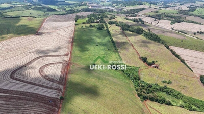 Chácara, 4 hectares - Foto 3