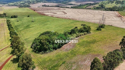 Chácara, 4 hectares - Foto 5