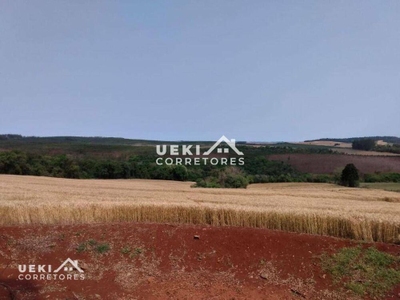 Sítio, 24 hectares - Foto 4