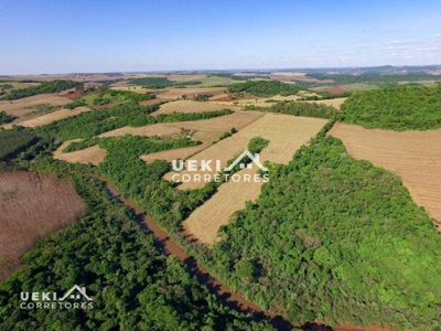 Sítio, 24 hectares - Foto 1