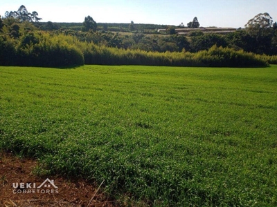 Sítio, 6 hectares - Foto 1