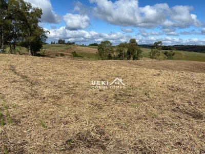 Fazenda-Sítio-Chácara, 327 hectares - Foto 4