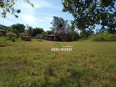 Chácara, 3 quartos, 6000 m² - Foto 3