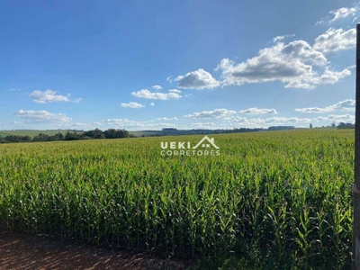 Sítio, 24 hectares - Foto 2