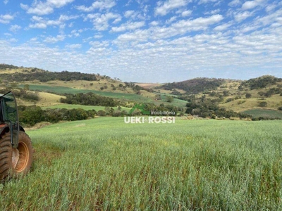 Sítio, 3 quartos, 21 hectares - Foto 4