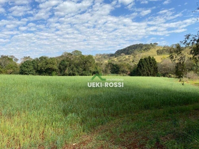 Sítio, 3 quartos, 21 hectares - Foto 2