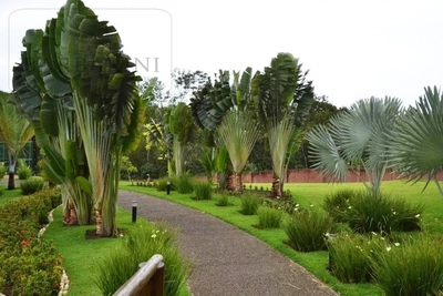 Terreno, 680 m² - Foto 1