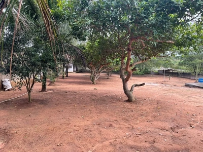 Chácara, 2 hectares - Foto 3