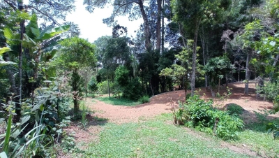 Casa, 3 quartos, 710 m² - Foto 3