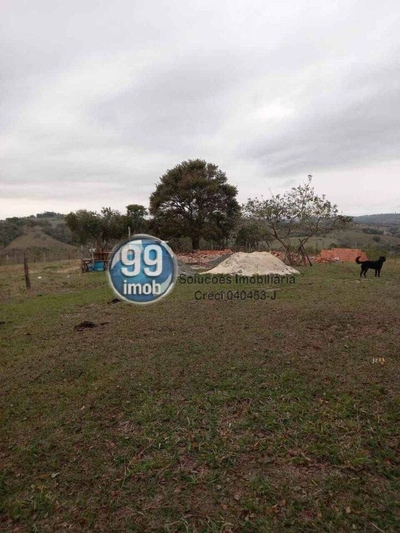 Terreno, 3 hectares - Foto 5