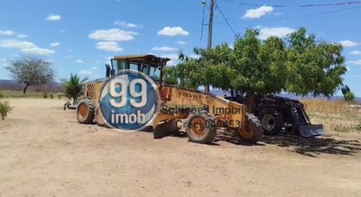 Terreno, 193 hectares - Foto 5