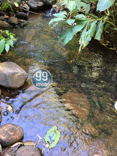 Terreno, 6 hectares - Foto 4