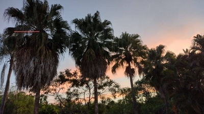 Chácara, 3 quartos, 2 hectares - Foto 4