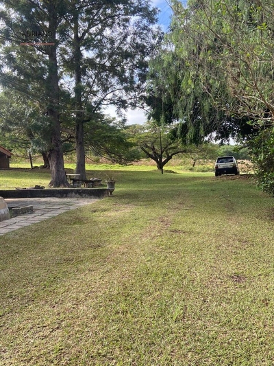 Terreno, 11 hectares - Foto 5