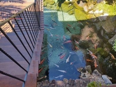 Sítio, 10 quartos, 29 hectares - Foto 4