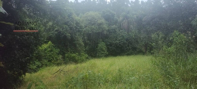 Terreno, 3 hectares - Foto 5