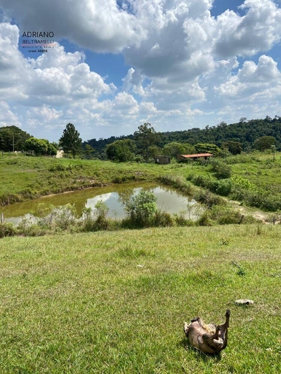 Terreno, 8 hectares - Foto 3