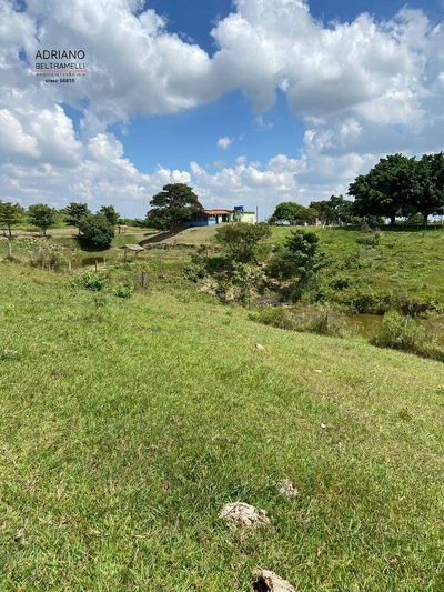 Terreno, 8 hectares - Foto 4