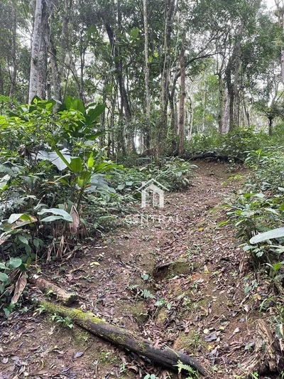 Chácara, 2 quartos, 1 hectares - Foto 3