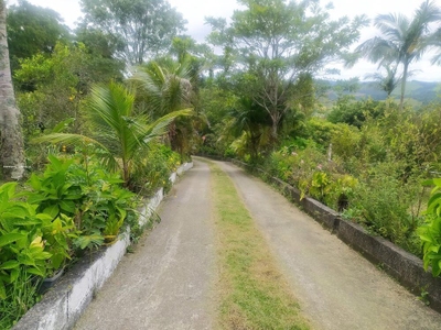 Chácara, 3 quartos, 2400 m² - Foto 1