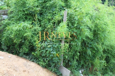 Terreno, 1934 m² - Foto 2