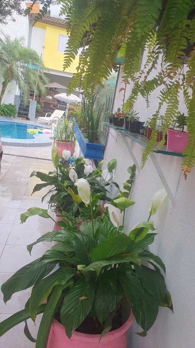 Loja-Salão - Foto 4