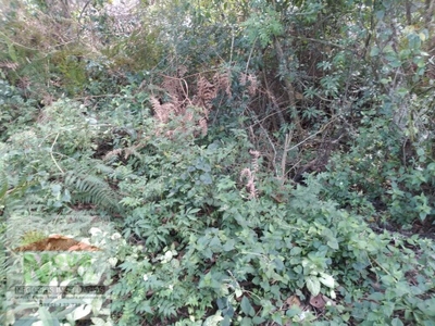 Terreno, 344 m² - Foto 3