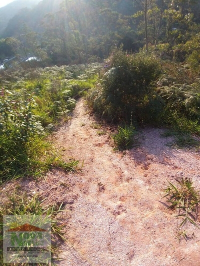 Terreno, 1 hectares - Foto 4