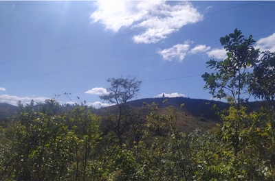 Fazenda-Sítio-Chácara, 30 m² - Foto 3