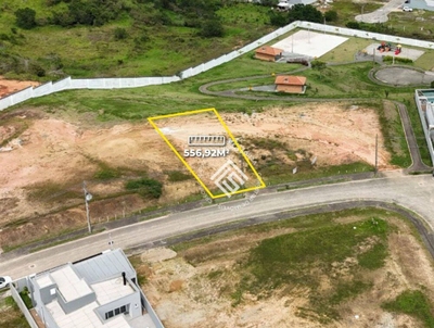 Loteamento e Condomínio, 556 m² - Foto 1