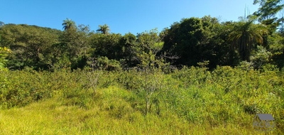 Fazenda-Sítio-Chácara, 13 m² - Foto 4