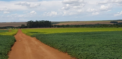 Fazenda-Sítio-Chácara - Foto 1