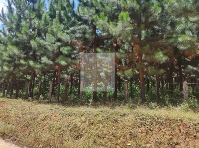 Fazenda-Sítio-Chácara, 620 m² - Foto 4