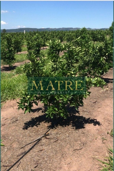 Fazenda-Sítio-Chácara, 94 m² - Foto 4