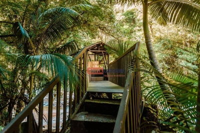 Chácara, 6 quartos, 29 hectares - Foto 2