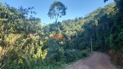 Terreno, 17 hectares - Foto 3