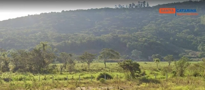 Terreno, 14 hectares - Foto 4