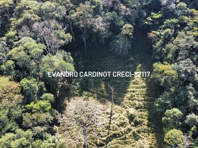 Apartamento, 4 quartos, 18000 m² - Foto 5