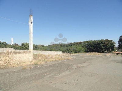 Depósito-Galpão, 1500 m² - Foto 3