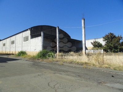 Depósito-Galpão, 1500 m² - Foto 1