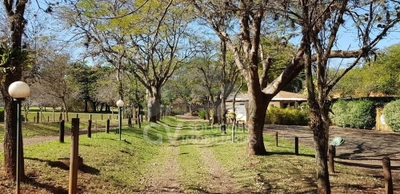 Terreno, 4 hectares - Foto 4