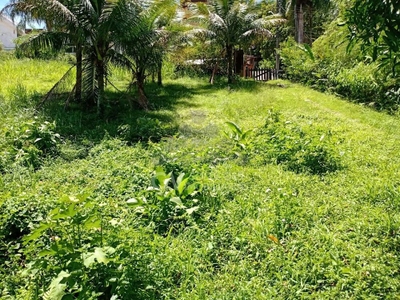 Loteamento e Condomínio, 601 m² - Foto 3