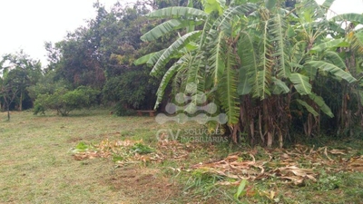 Terreno, 1000 m² - Foto 1