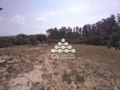 Sítio, 5 quartos, 3 hectares - Foto 1